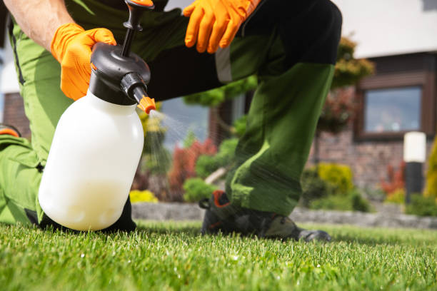 Best Bed Bug Extermination  in South Beach, FL