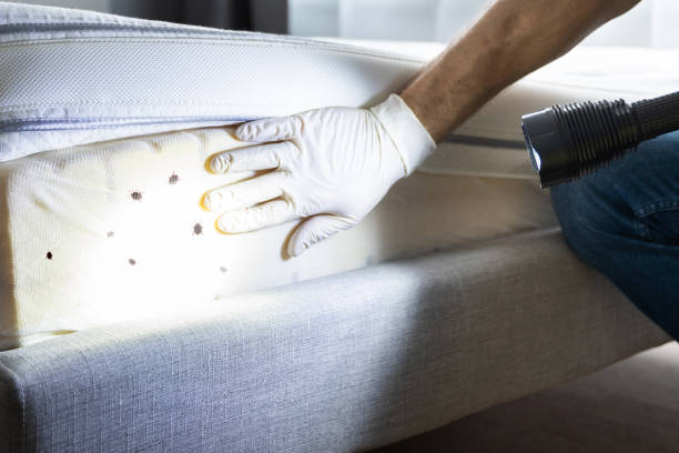 Best Best Pest Control Companies  in South Beach, FL